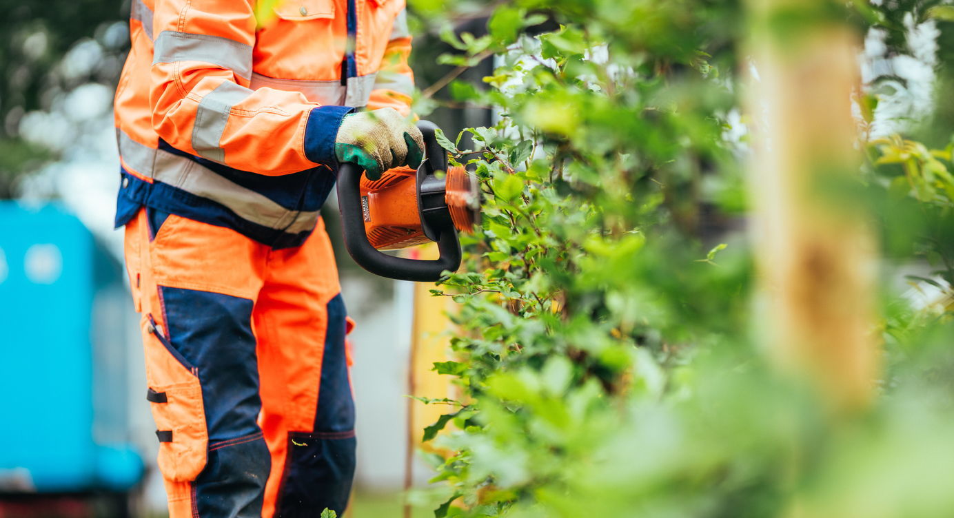 Cursist tijdens zijn opleiding groenmedewerker aan het werk met een elektrische heggenschaar.
