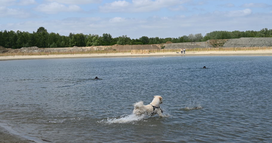 Hondenzwemvijvers Middenvijver